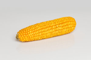 Fotografia produktowa kukurydzy Lidea