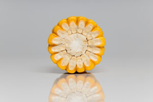 Fotografia produktowa kukurydzy Lidea